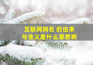 互联网网名 的由来与含义是什么意思啊